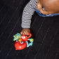 Baby Einstein Roxys Bright Flight Musical Toy, Multisensory, Ages 3 Months and Up