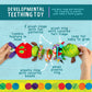 World of Eric Carle, The Very Hungry Caterpillar Activity Toy, Jiggle Caterpillar