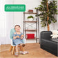 Evolur Zoodle 2 in 1 Convertible Baby High Chair in Mint