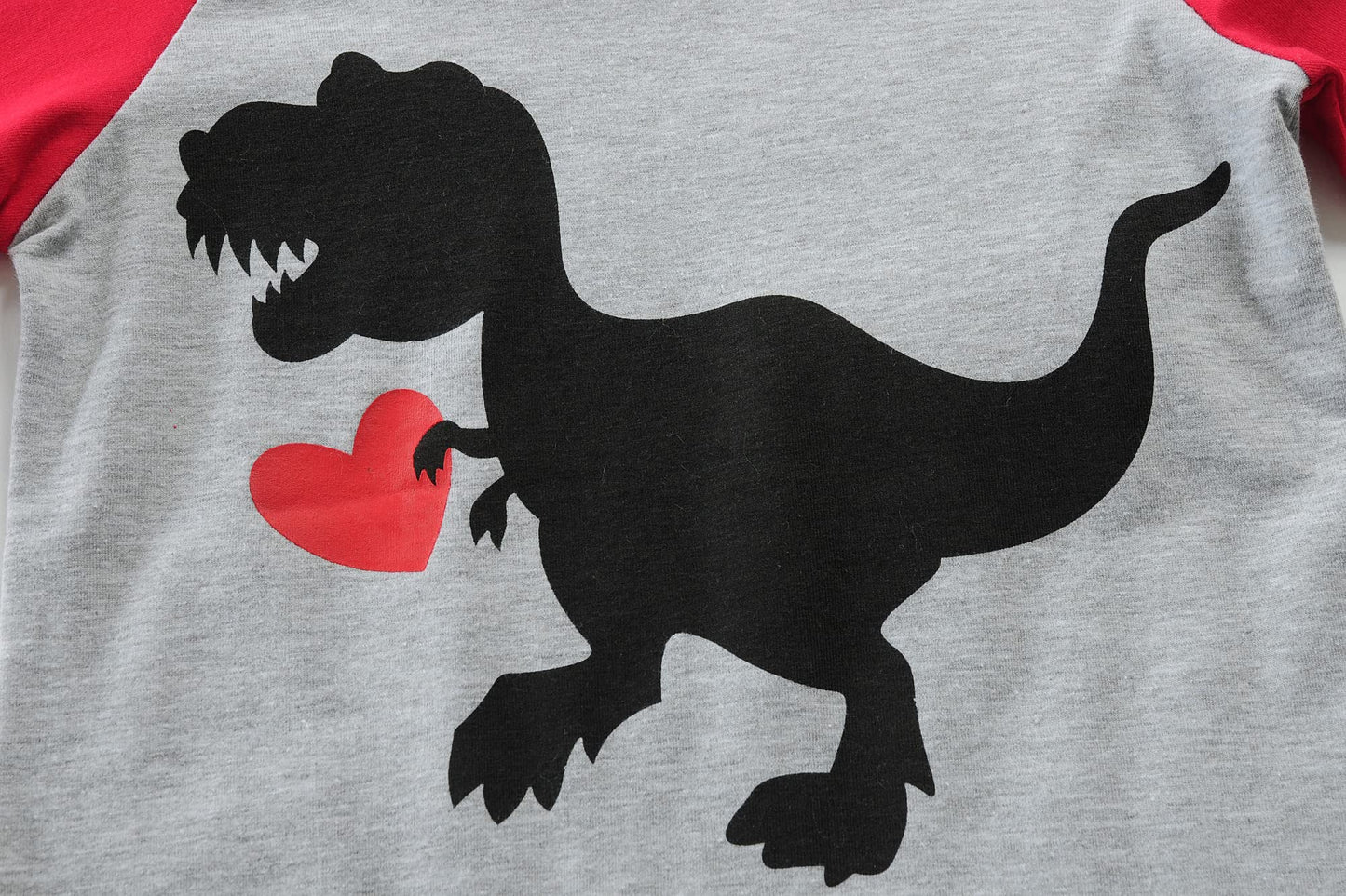 Toddler Boys Girls Valentines Day Gifts Dinosaur Love Heart Shirt For Kids Red Raglan Tees 6 Years
