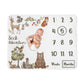 Sweet Jojo Designs Woodland Forest Animals Boy Girl Gender Neutral Unisex Baby Milestone Blanket Newborn Monthly First Year Phot