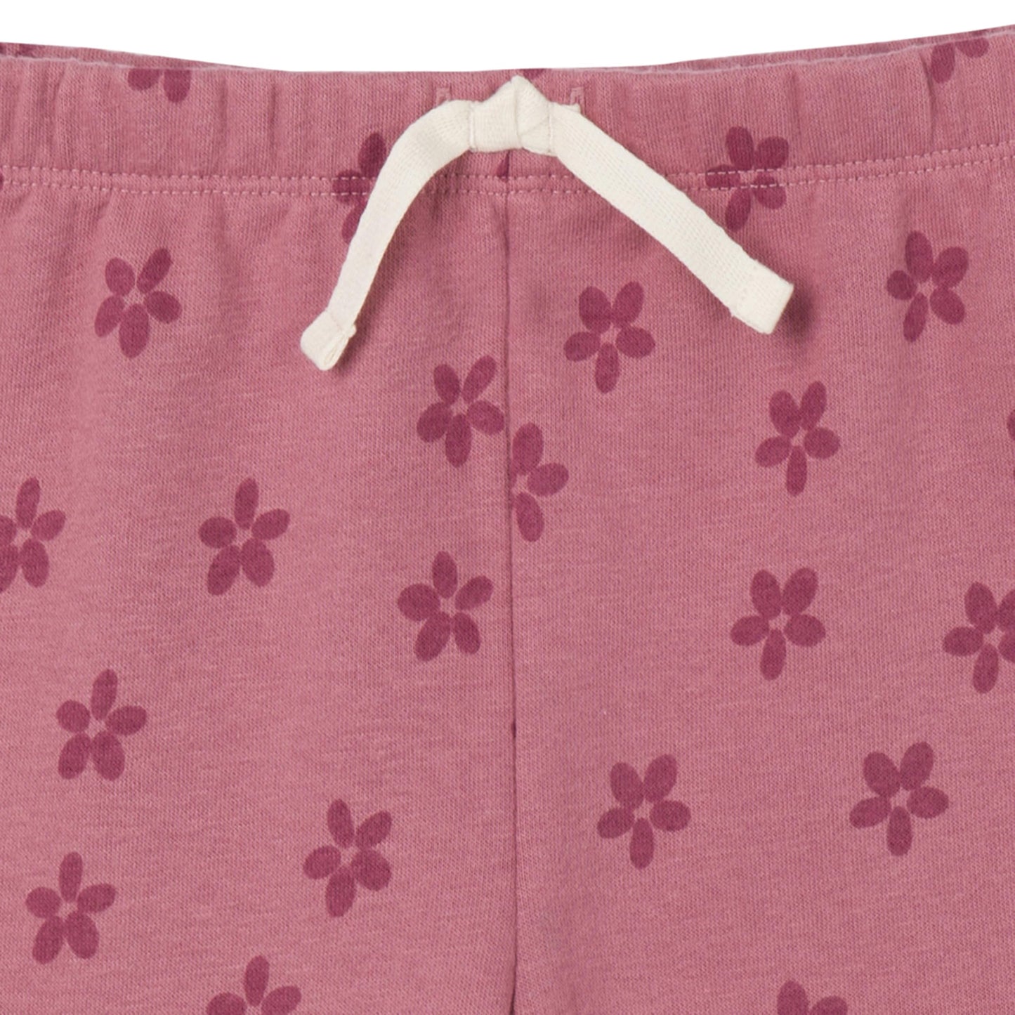 Gerber Baby Girls Toddler 2-Piece Fleece Sweatshirt And Jogger Set, Daisies, 4T