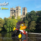 CelebriDucks - Harry Ponder - Floating Rubber Ducks - Collectible Bath Toy Gift for Kids & Adults of All Ages