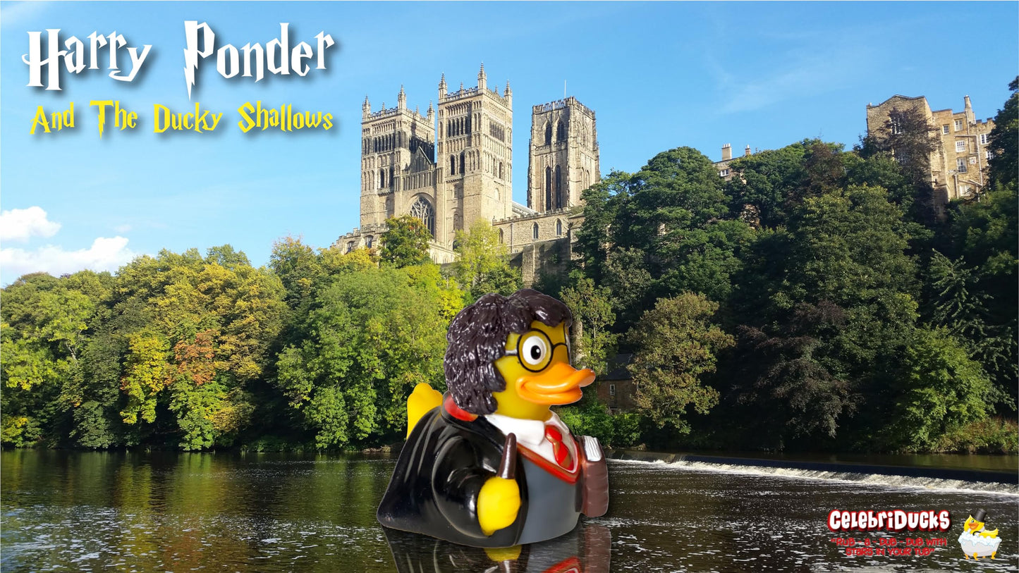 CelebriDucks - Harry Ponder - Floating Rubber Ducks - Collectible Bath Toy Gift for Kids & Adults of All Ages