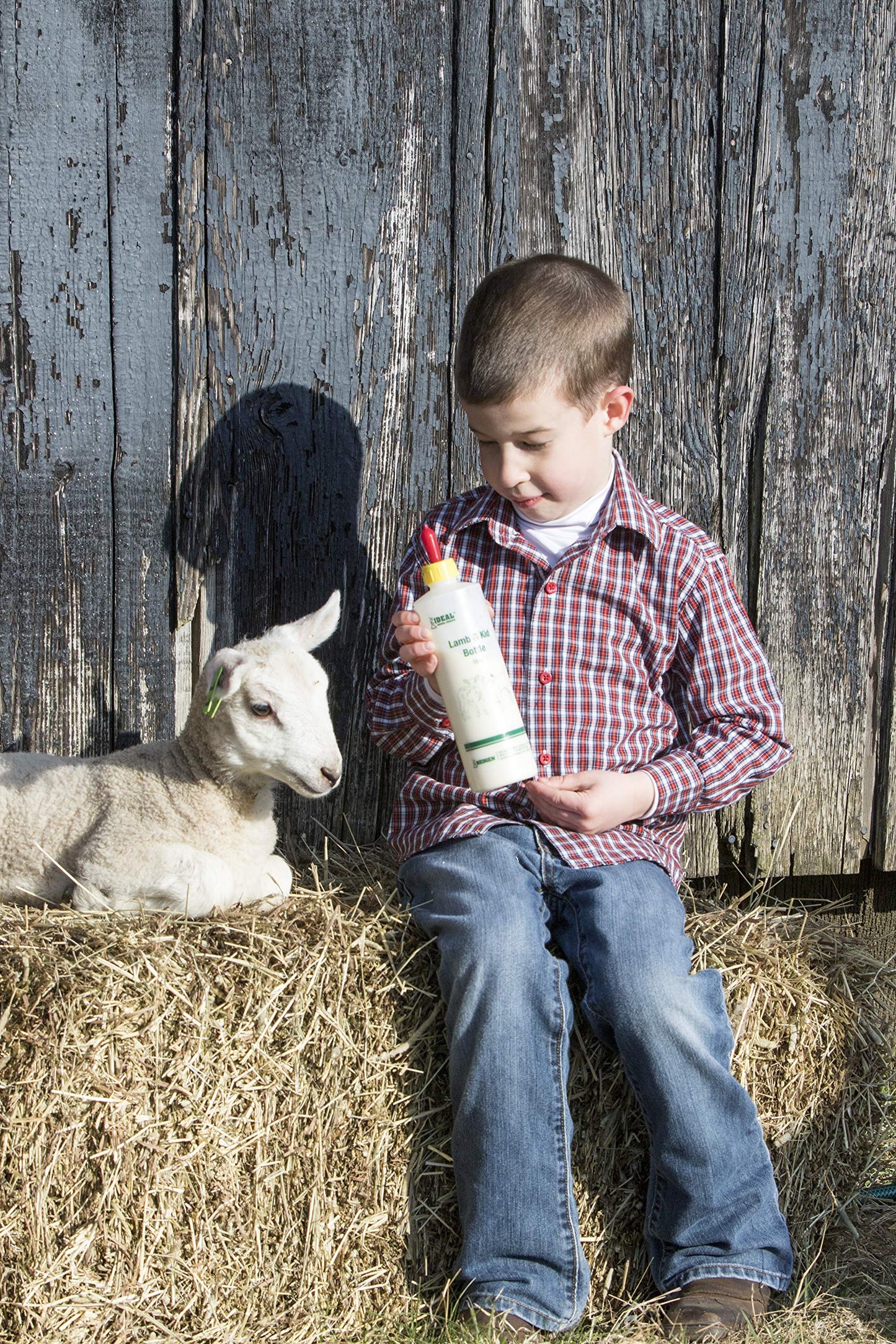 Ideal 7004 Lamb & Kid Bottle 16Oz W/Red Screw-On Teat