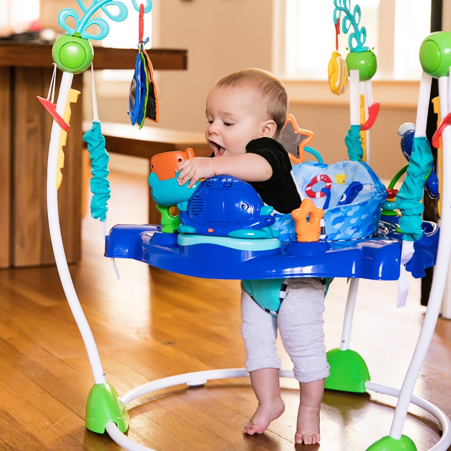 Baby Einstein Neptunes Ocean Discovery Activity Jumper, Ages 6 months +, Max weight 25 lbs., Unisex