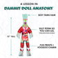 The Anatomy Doll