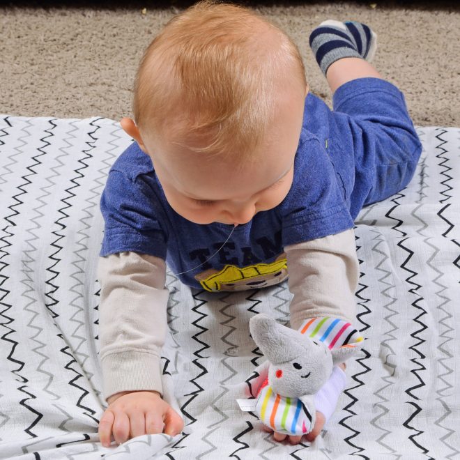 Elephant Baby Teether