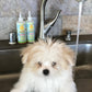 Calming™ Puppy + Dog Wash & Conditioner Set