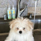 Calming™  Puppy + Dog Conditioner