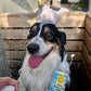 Calming™ Puppy + Dog Wash