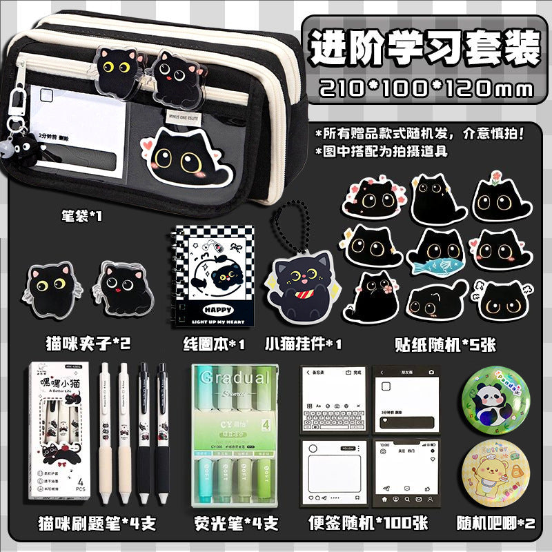 Cat Pencil Bag Large Capacity Transparent Storage Bag for Girls 2025 New Super Popular Stationery Box Student High-Looking Pencil Bag