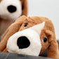 Cute Bagittarius Hound Pacifying Animal Doll Puppy Doll Plush Toy Accompanying Girl Children Gift Batch