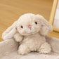 Cross-border Peanut Penguin Doll Internet Popular Cute small size Soft Children Baby Pacifying Plush Doll