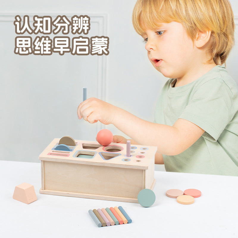 Montessori Classification Early Education Coin Box Baby Color Cognitive Shape Building Blocks Matching Teaching Aids Baby Educational Toys