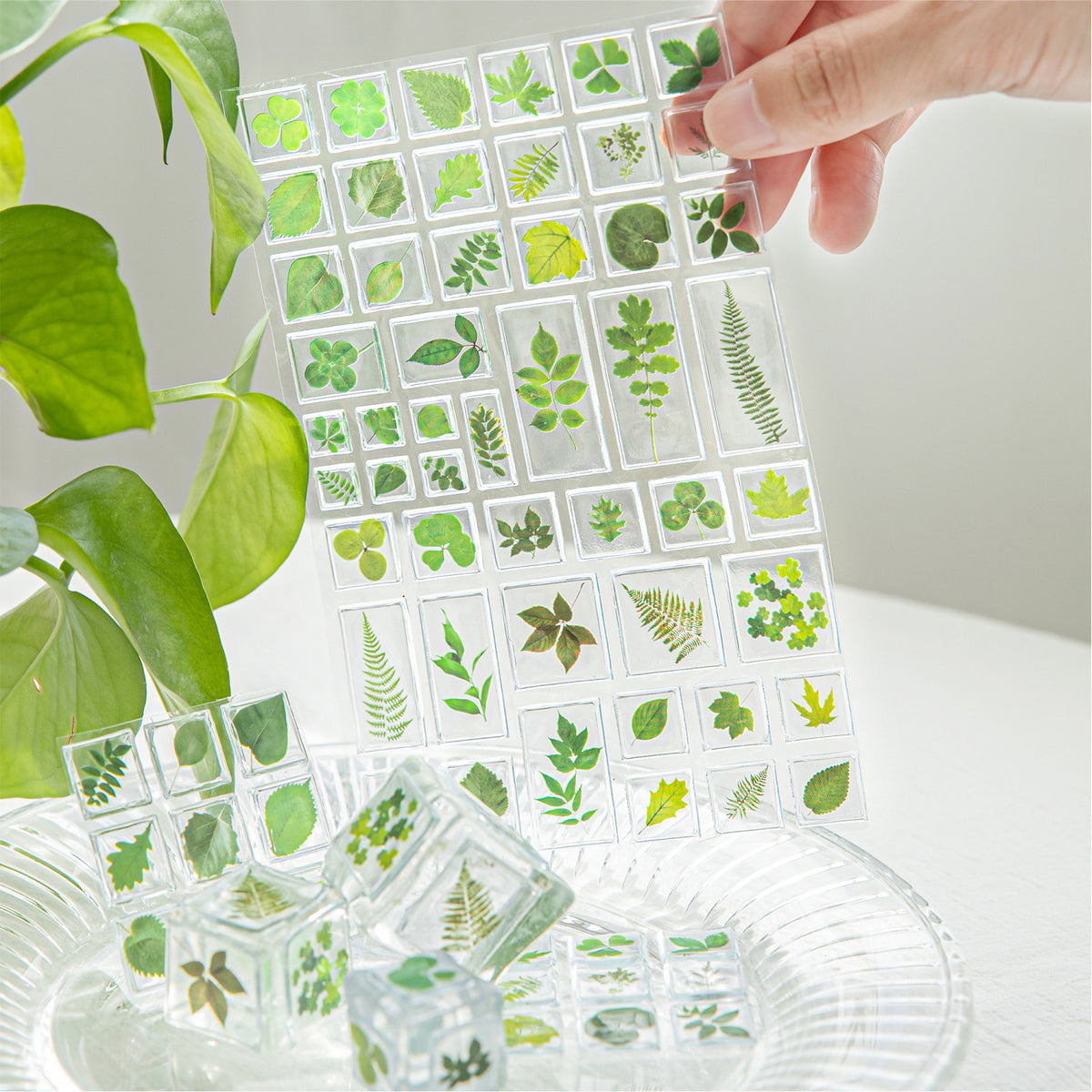 Momo Acrylic 3D Stereo Decorative Stickers Natural Plant Institute Series Handmade DIY Mobile Phone Case Decorative Stickers