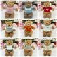 {Only Baby Clothes}25Cm Barcelona Bear Sweatshirt Toy Bear Clothes Skirt Bear Replacement Can Be Sent with Samples and Pictures