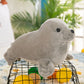 in stock Polar Ocean Underwater World Simulation Seal Sea Lion Doll Plush Toy Doll Zoo Wholesale