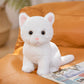 Cute Artificial Cat Doll Plush Toy Black Cat Doll White Cat Orange Cat Rag Doll Girl Birthday Gift for Kidsren