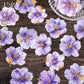 Pick up Pet Flower Sticker Pack, Hot Stamping Handbook DIY Decorative Material Stickers, 20 Pieces in Cross-Border 6 Styles