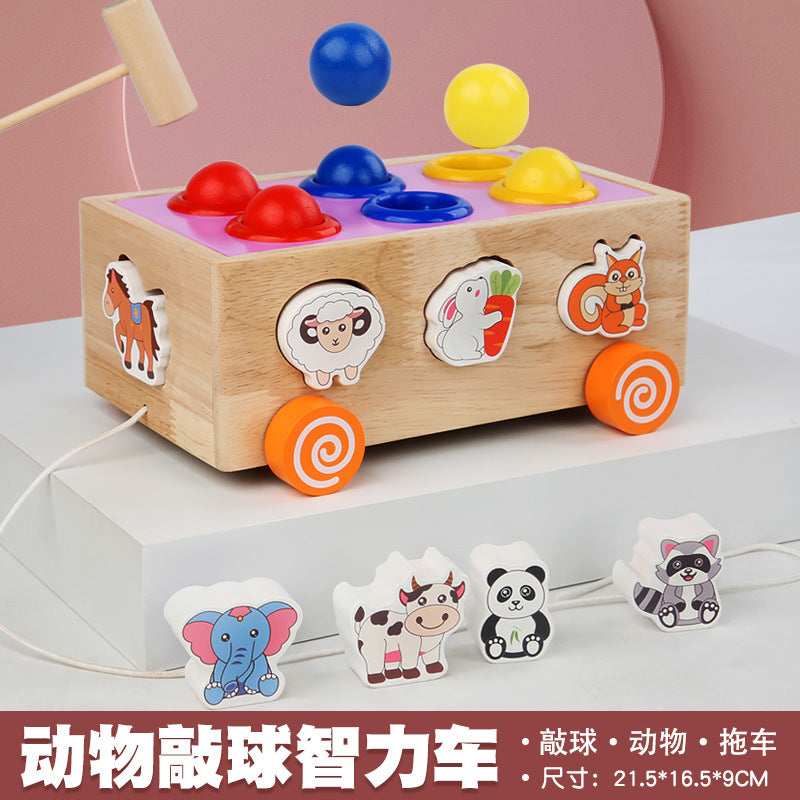 3 Cross-Border Kidsren's Educational Toys Farm Orchard Shape Building Blocks Matching Insect Catching and Carrot Pulling Intelligence Box Toys