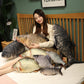 Imitation fish pillow plush toy carp doll doll crucian carp spoof pillow tilapia sleeping leg pillow
