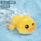 Cross Border Baby Bath Toy Children's Bath Winding Chain Baby Bathroom Swimming Water Dolphin Turtle Whale