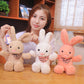 Short Plush Scarf Rabbit Doll Pillow Cloth Doll Wedding Gift Bag Ferrule Stall Night Market Push Gift
