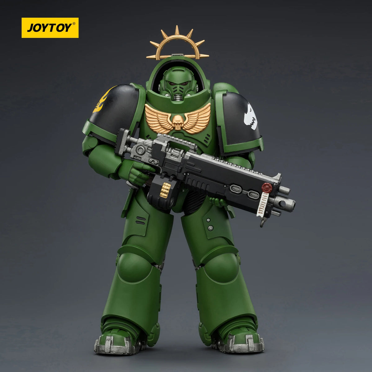 JOYTOY Dark Source Warhammer 40k Salamanders Primaris Heavy Intercessor 1/18 Model Toy JT03677 with Heavy Bolt Rifle Collectible Model