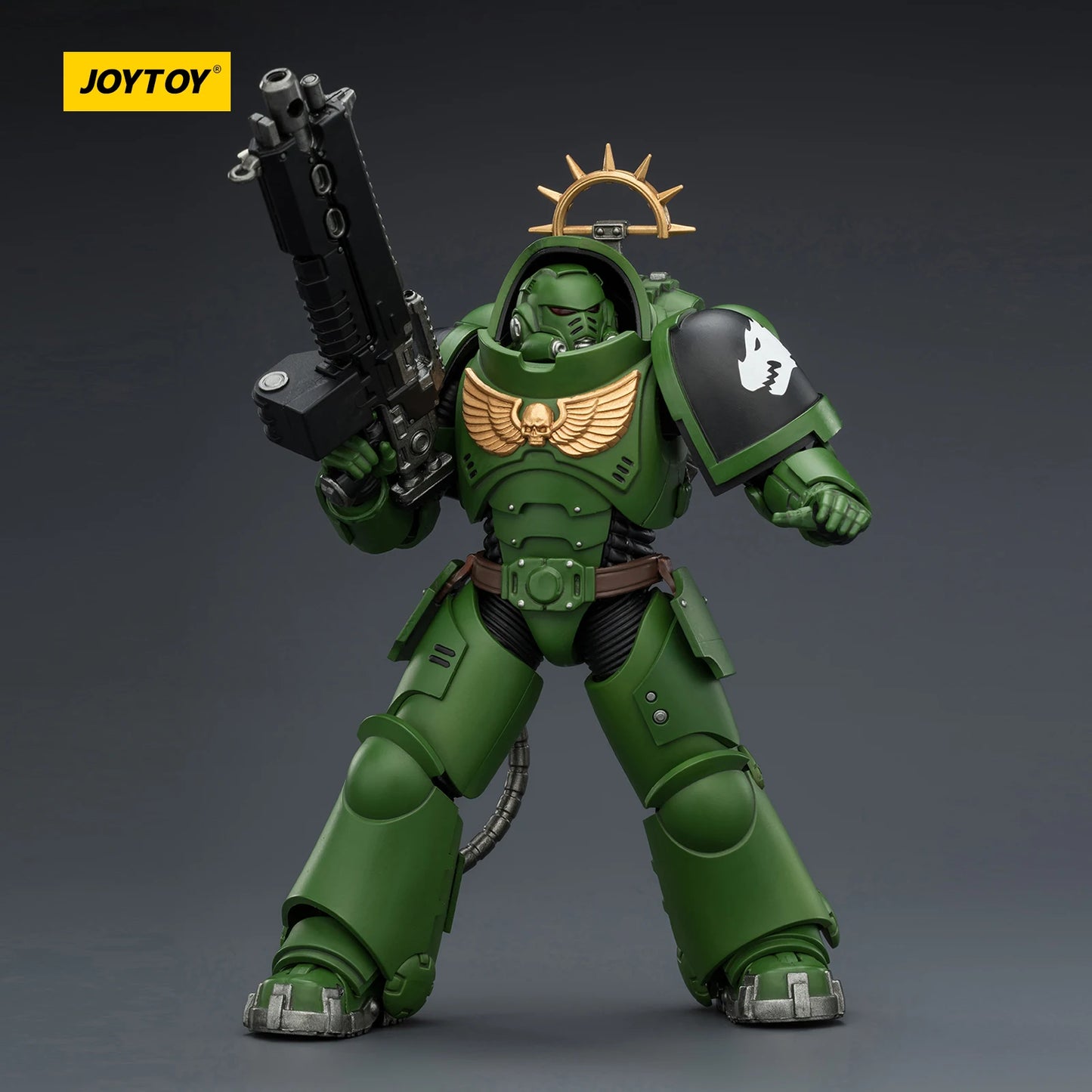 JOYTOY Dark Source Warhammer 40k Salamanders Primaris Heavy Intercessor 1/18 Model Toy JT03677 with Heavy Bolt Rifle Collectible Model