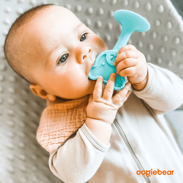 oogiebear 360° training toothbrush & teether