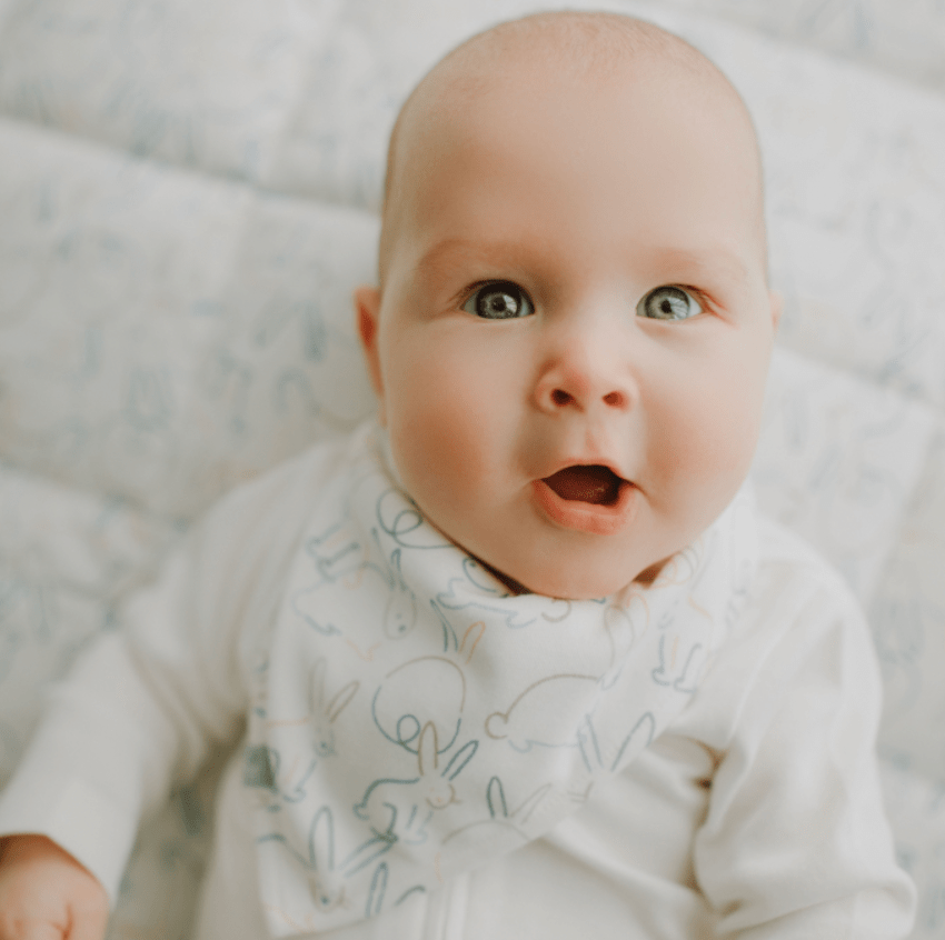 kerchief bib | bunnies