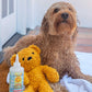 Calming™  Puppy + Dog Conditioner