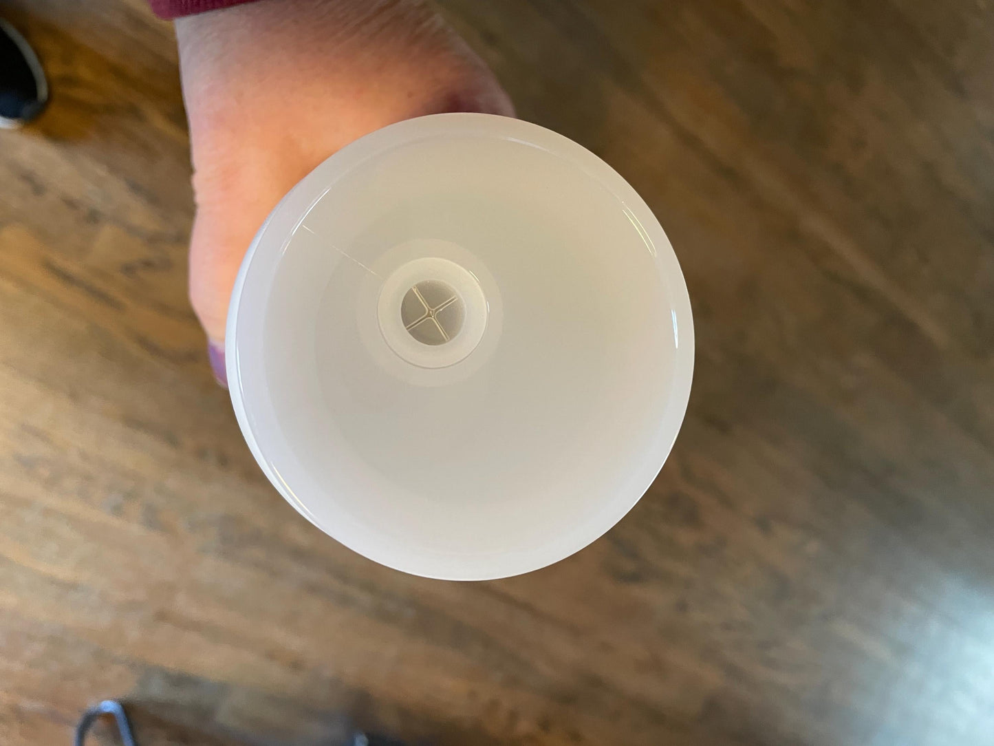 16oz White Stainless Steel Cup