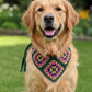 3-in-1 Crochet Granny Square Bandana – Handmade Headband, Pet Collar &Mom Neck Scarf | Colorful Boho Accessory | Retro Crochet Gift