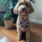 3-in-1 Crochet Granny Square Bandana – Handmade Headband, Pet Collar &Mom Neck Scarf | Colorful Boho Accessory | Retro Crochet Gift