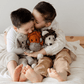 Wool Knit Buddy  | Olive the Owl