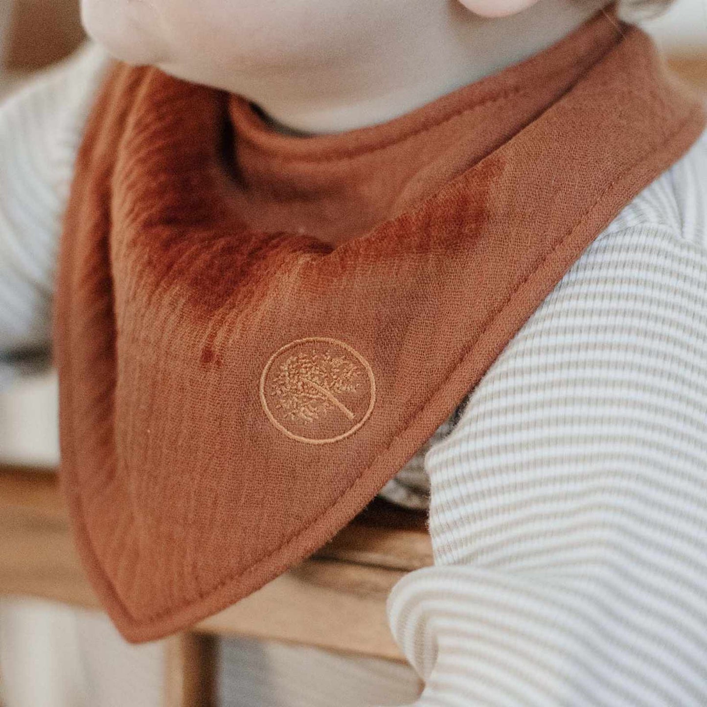 Estes Muslin Bandana Bibs Set (4-Pack)