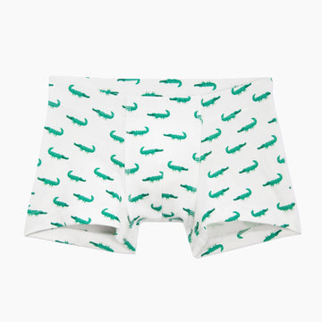 boys boxer brief underwear