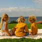 The Shwally Picnic Blanket - Sunny Jungle