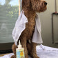 Calming™  Puppy + Dog Conditioner